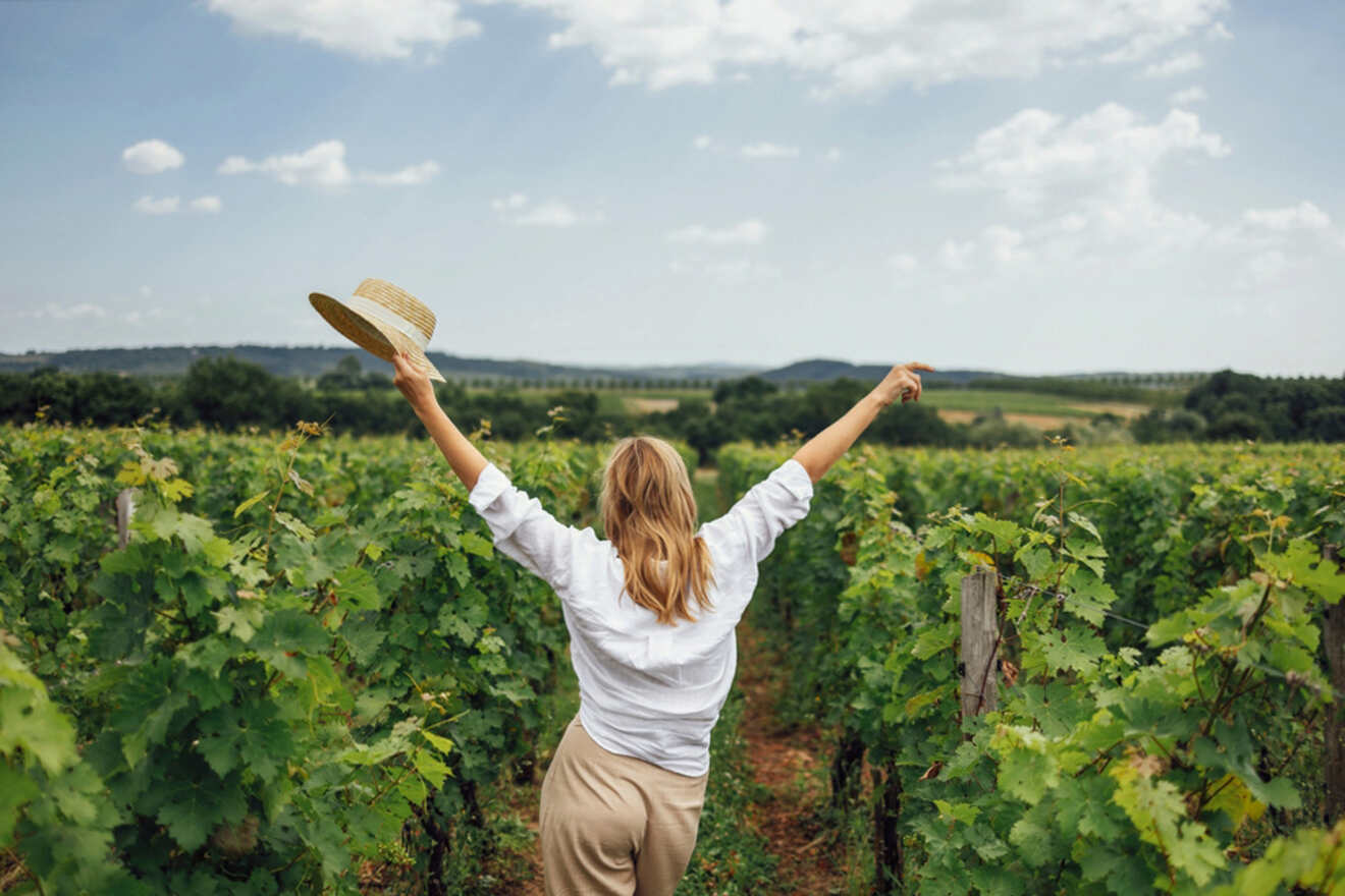 Person with outstretched arms, holding a hat, standing between rows of grapevines in a vineyard on a sunny day.