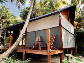 A small wooden cabin with a porch, two chairs, and a table is surrounded by palm trees. The cabin features a shaded area and is set against a tropical background.