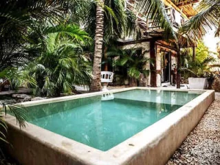 Rectangular outdoor pool surrounded by lush green palm trees and tropical plants in a rustic setting.