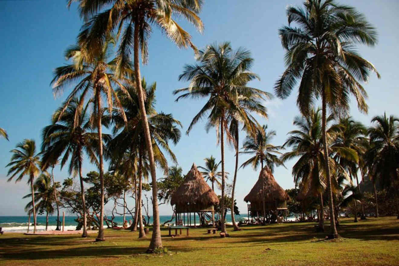 Several palm trees surround two thatched-roof huts on a grassy area near a coastline, with the ocean visible in the background under a clear blue sky.