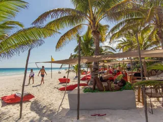People enjoy a sunny day at the beach with palm trees, sun loungers, and canopies set up in the sand near the water.