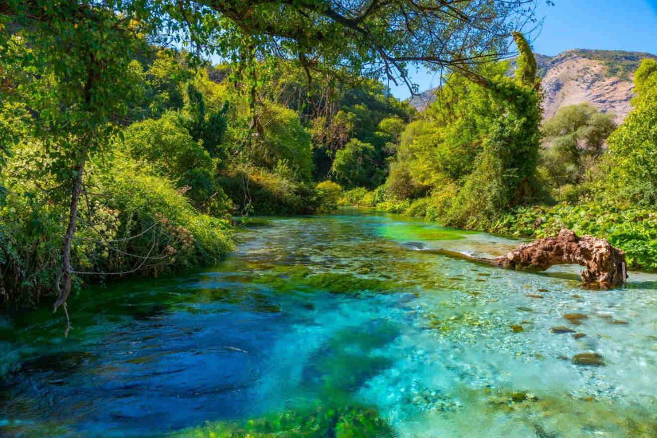 The crystal-clear blue waters of the Blue Eye spring surrounded by lush greenery and vibrant foliage.