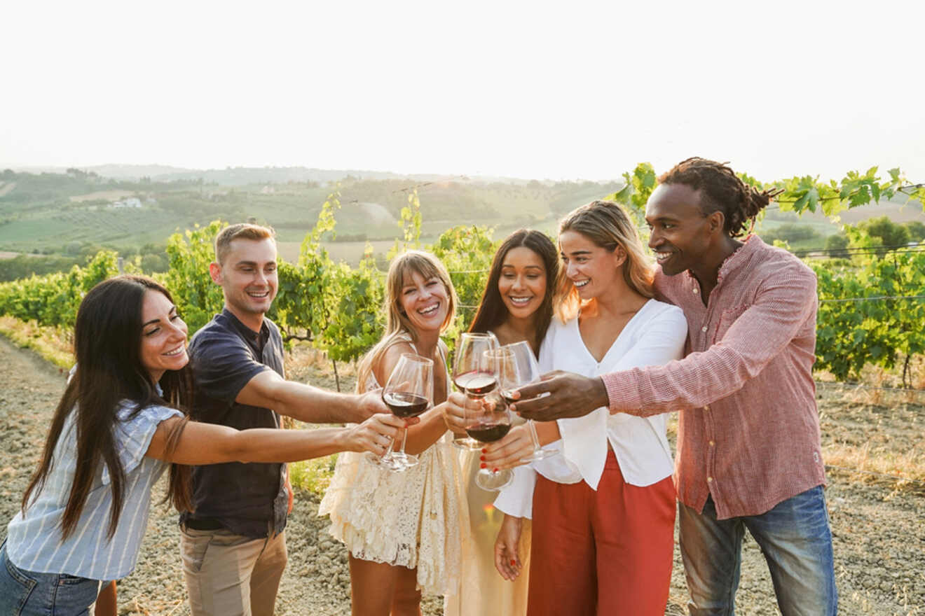 Six people standing in a vineyard clink glasses of red wine together, smiling.