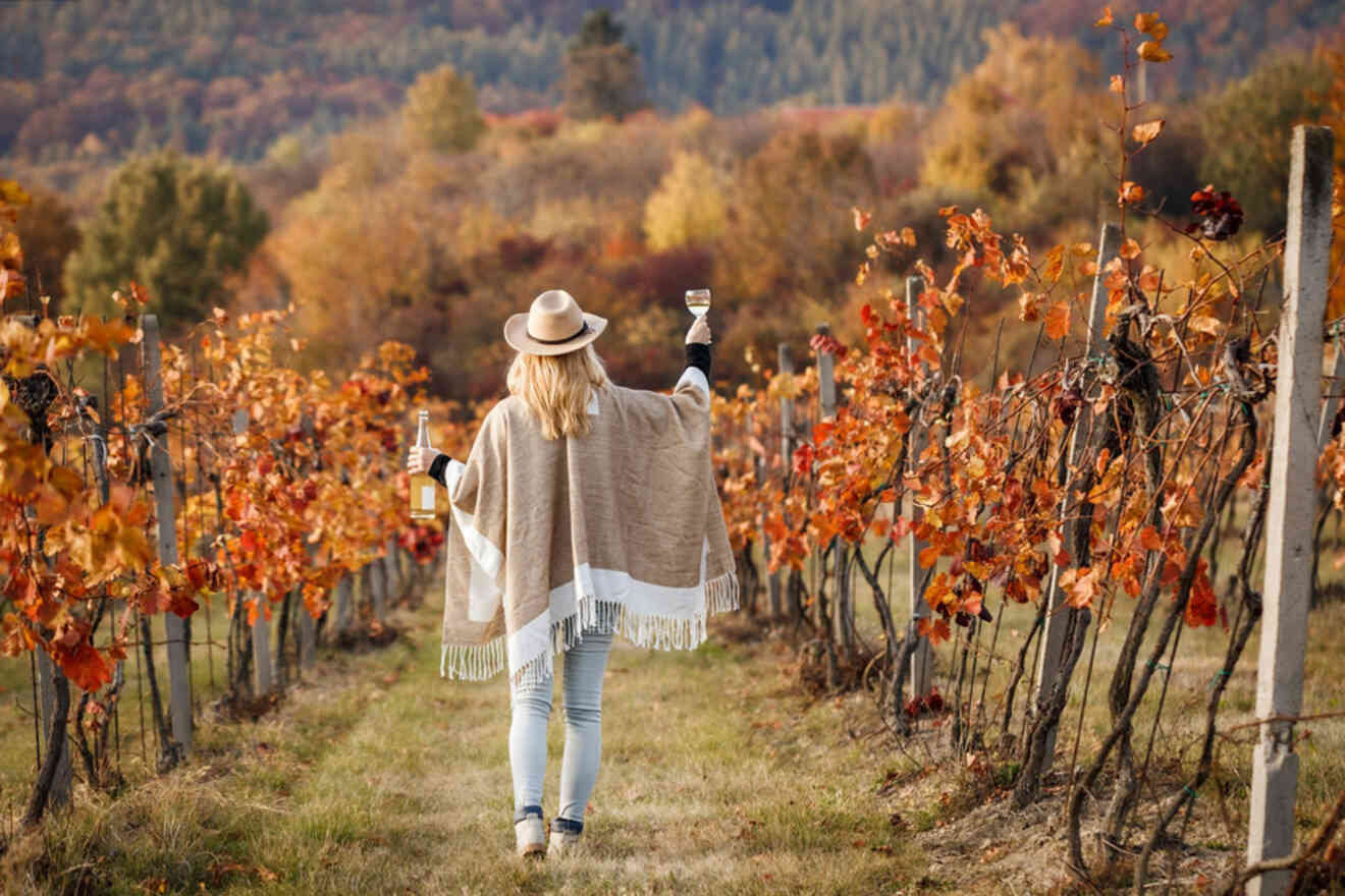 A person in a hat and poncho walks through an autumn vineyard holding a bottle of wine and a glass.