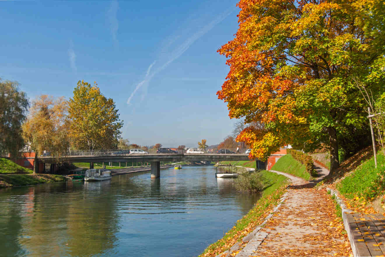 A riverside path lined with autumn foliage on the right and a bridge with vehicles crossing over a calm river on the left, under a clear blue sky.
