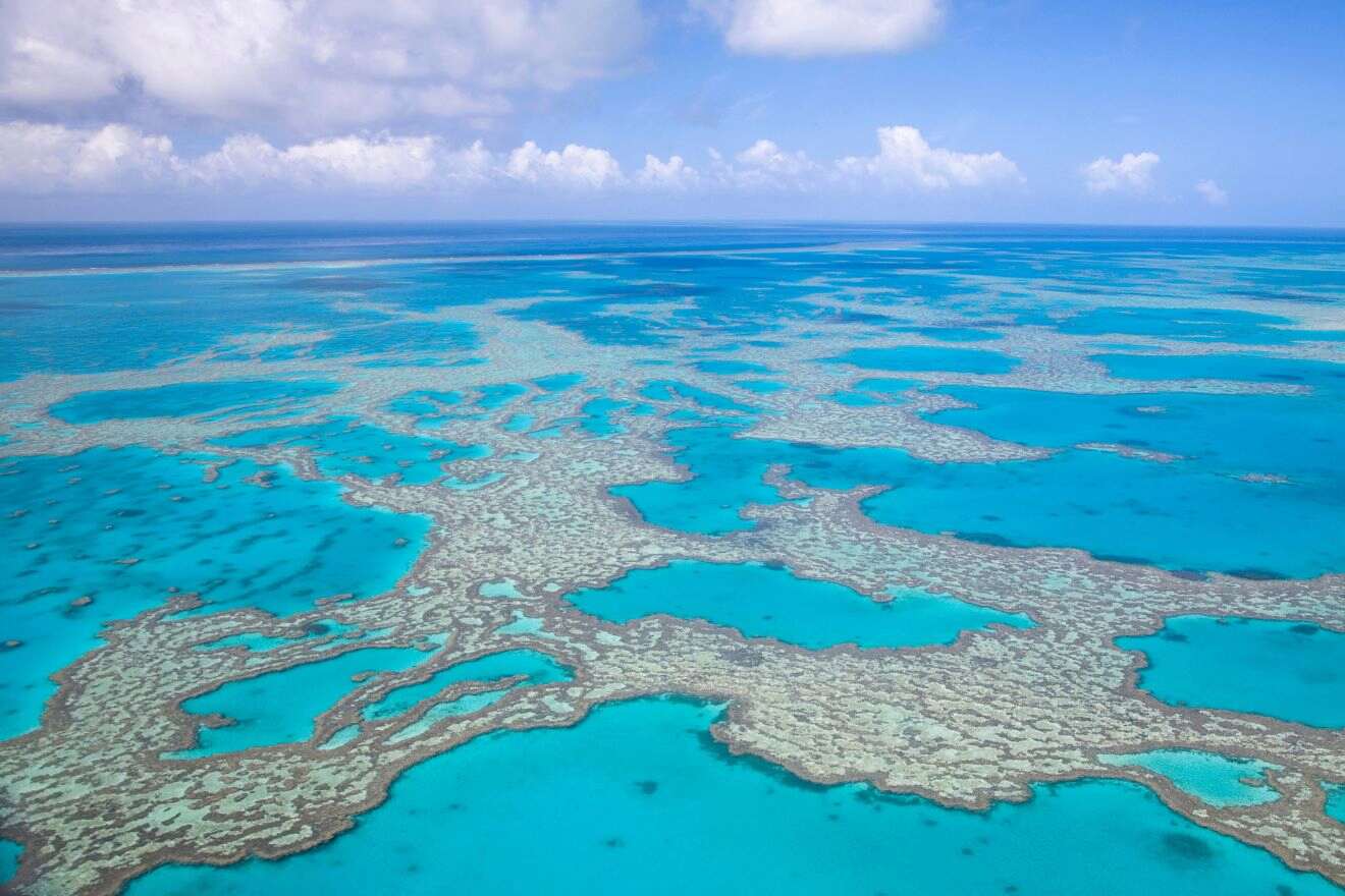 Aerial view of the Great Barrier Reef in Australia, showcasing its intricate coral formations and vibrant blue waters.