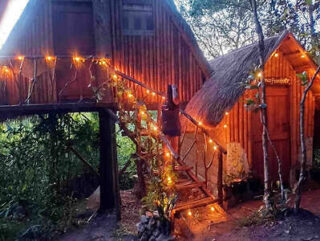 A rustic wooden cabin with string lights on the stairs and railings, surrounded by trees. The entrance has a thatched roof and a person walking up the stairs.