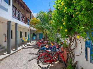 A row of bicycles is parked along a white building with balconies and hanging hammocks under a bright blue sky. Lush green plants and yellow flowers grow near the bicycles.