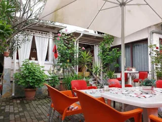 A patio with red chairs around white tables under a large white umbrella, surrounded by green plants, with a building featuring large windows and white curtains in the background.