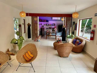 A cozy room with wicker chairs, a coffee table, and a large potted plant. The back wall features various items on shelves with a purple light. Windows and decor create a welcoming atmosphere.