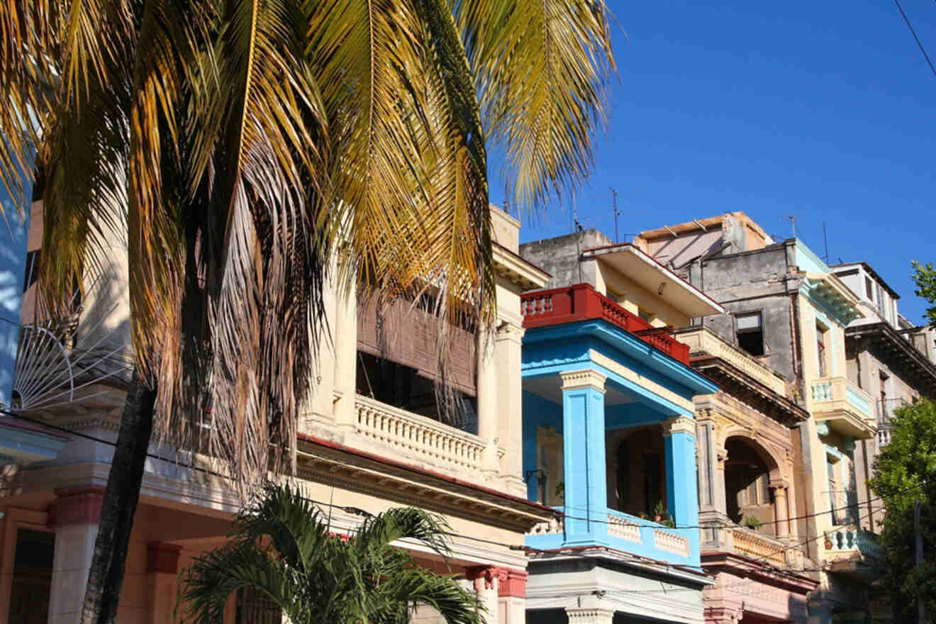Colorful, multi-story buildings with balconies line a street under a clear blue sky, partially obscured by palm fronds from a nearby tree.
