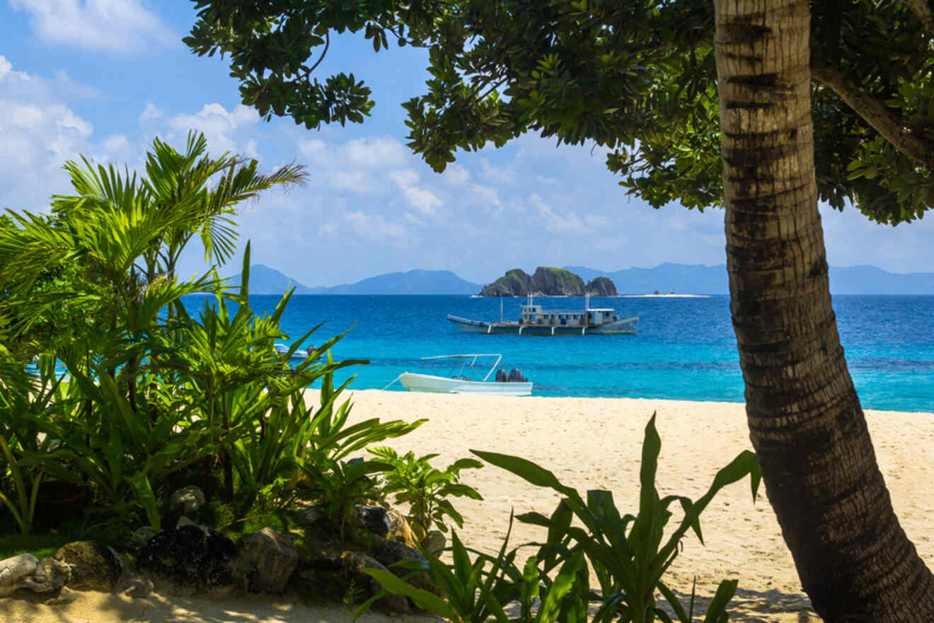 A tropical beach with white sand, lush greenery, a clear blue sea, and boats anchored offshore. A tree trunk is visible on the right side of the image.