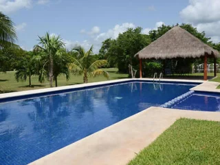 A rectangular swimming pool with clear blue water is surrounded by grass and palm trees. A thatched-roof gazebo stands in the background.