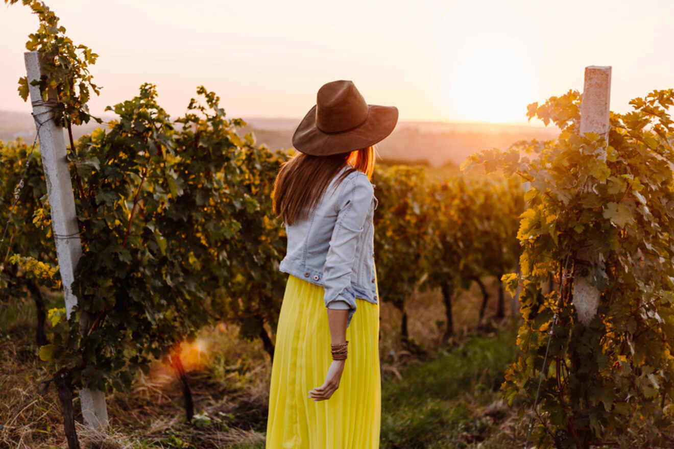 A person wearing a hat and a yellow skirt stands in a vineyard at sunset, facing away from the camera.