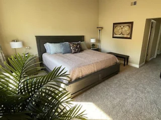 A spacious bedroom with a large bed, modern furniture, and a decorative plant near the window.