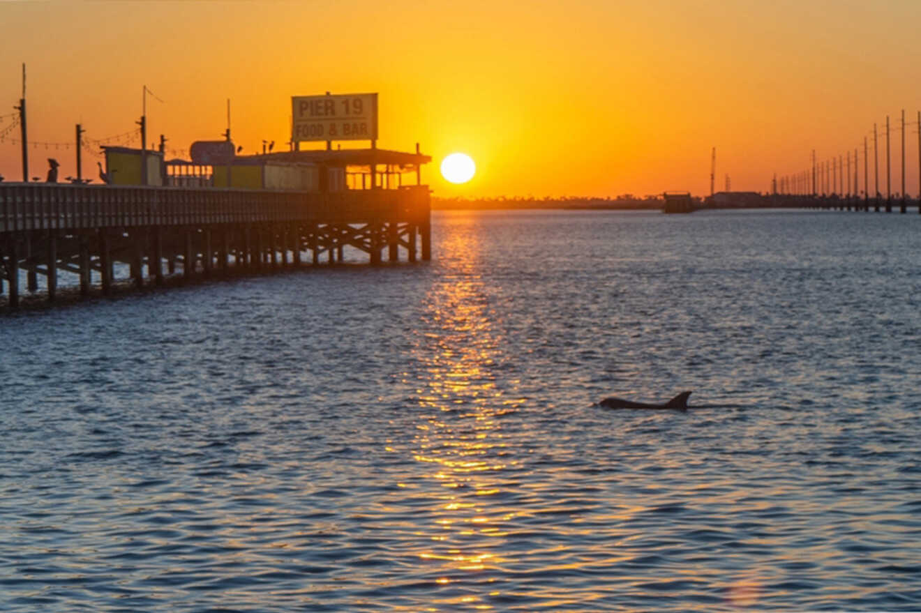 A wooden pier with a restaurant sign extends over the water at sunset. The sun is low on the horizon, casting a reflection on the water where a dolphin is swimming.