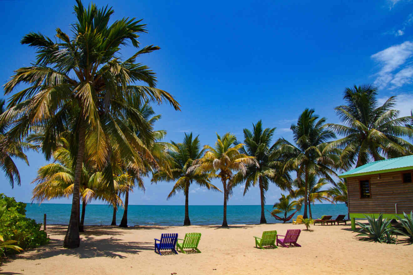 Palm trees on a sandy beach with colorful chairs facing the ocean, clear blue sky in the background, and a small wooden building to the right.