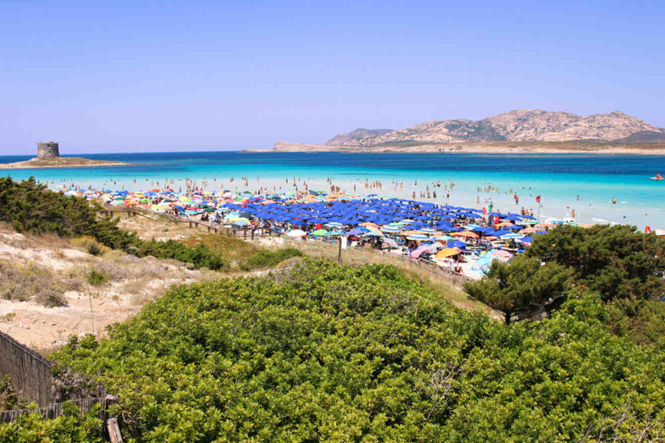 A crowded beach with numerous blue umbrellas, clear turquoise water, and distant hills under a clear sky. Dense greenery is in the foreground.