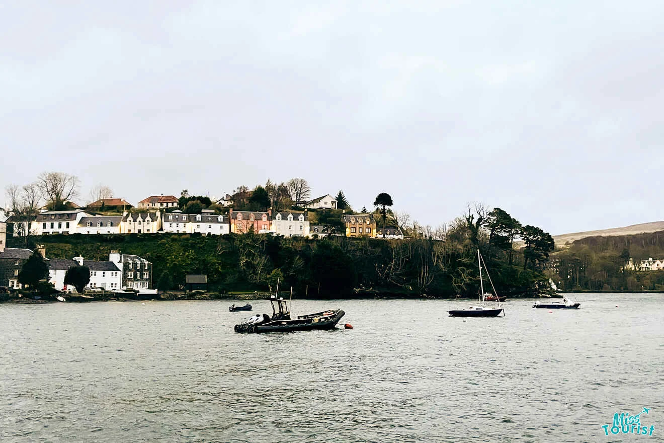 A calm body of water with several boats anchored near a small, hilly village with colorful houses and trees.