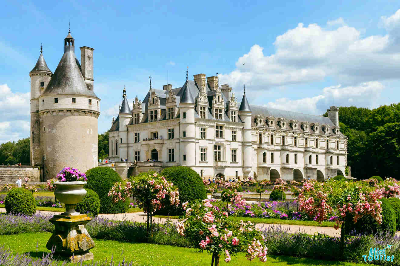 A historic castle with a round tower, and floral gardens adorned with pink and purple flowers under a clear blue sky.