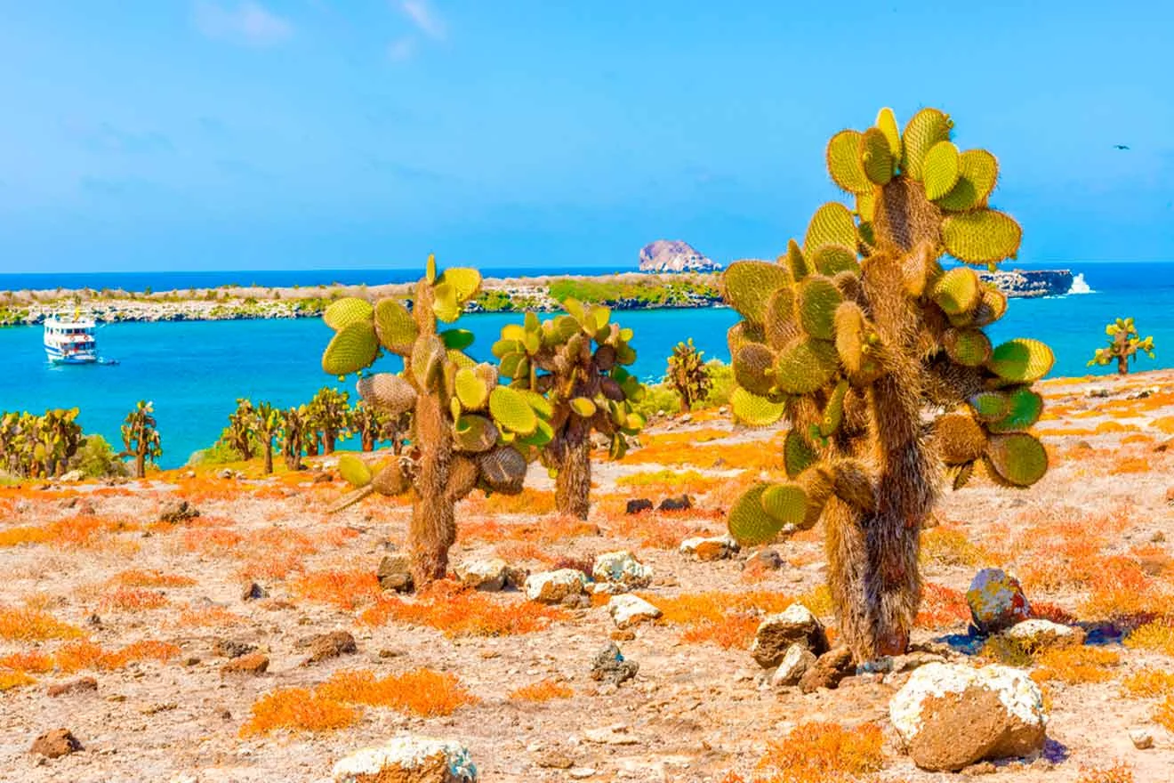 Cacti grow in an arid landscape with a vibrant blue sea and a boat in the background under a clear sky.