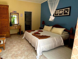 A quaint bedroom with a double bed, mosquito net, and wooden furniture, featuring a blue accent wall with framed art.