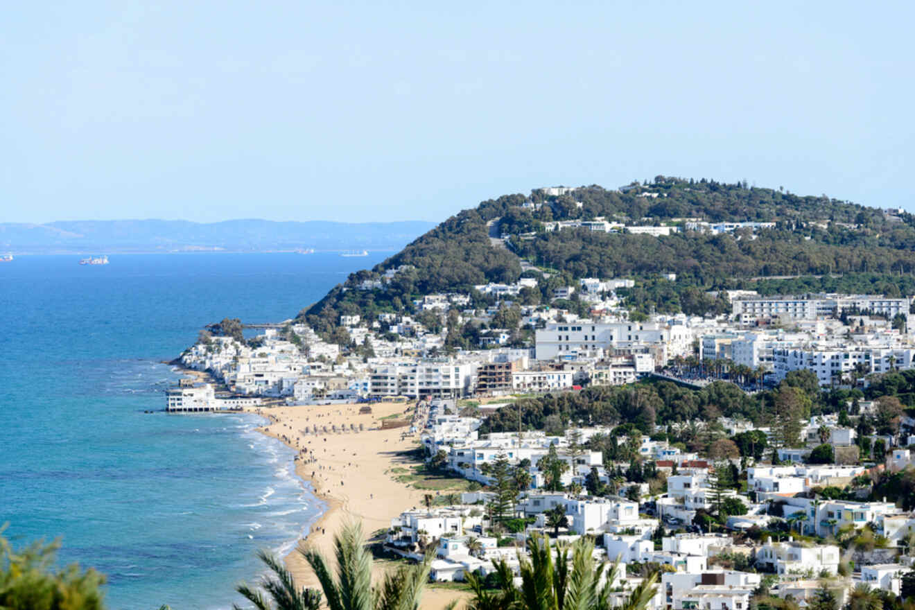 A coastal view of La Marsa in Tunis, featuring a sprawling beach, white buildings on a hillside, and the Mediterranean Sea in the background.