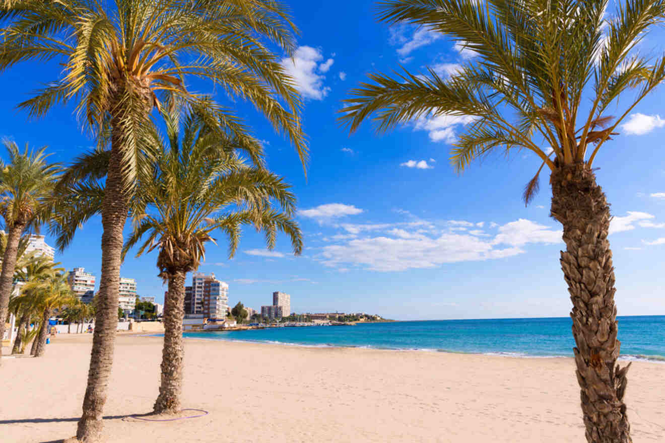 Sandy beach with palm trees, blue ocean, and buildings in the background under a bright blue sky.