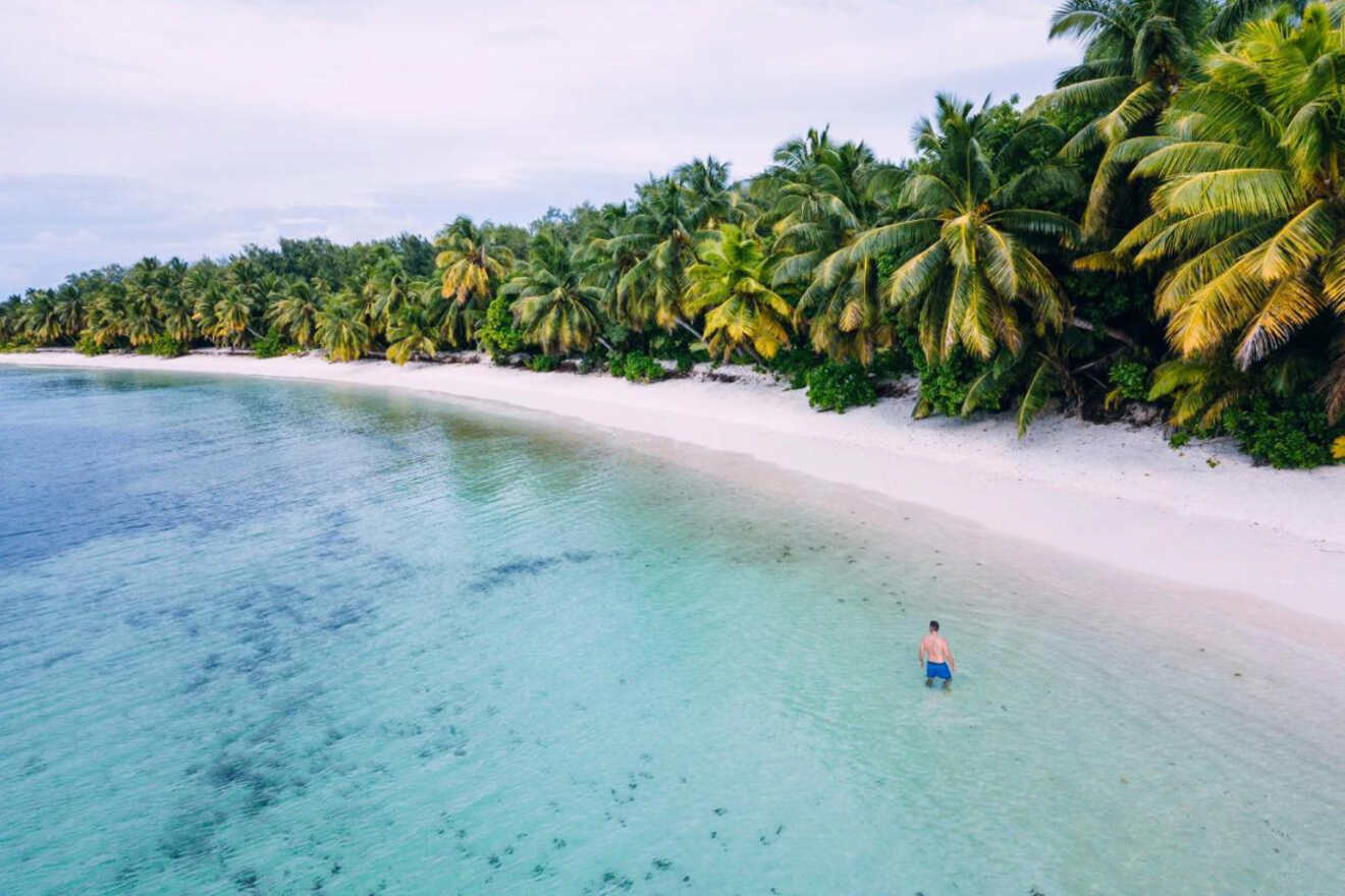 A tranquil beach scene with clear, shallow water and a lone person wading near the shore, bordered by dense palm trees.