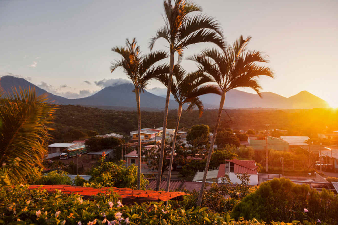 Sunset view of a small town with palm trees in the foreground and mountains in the background, illuminated by golden light.