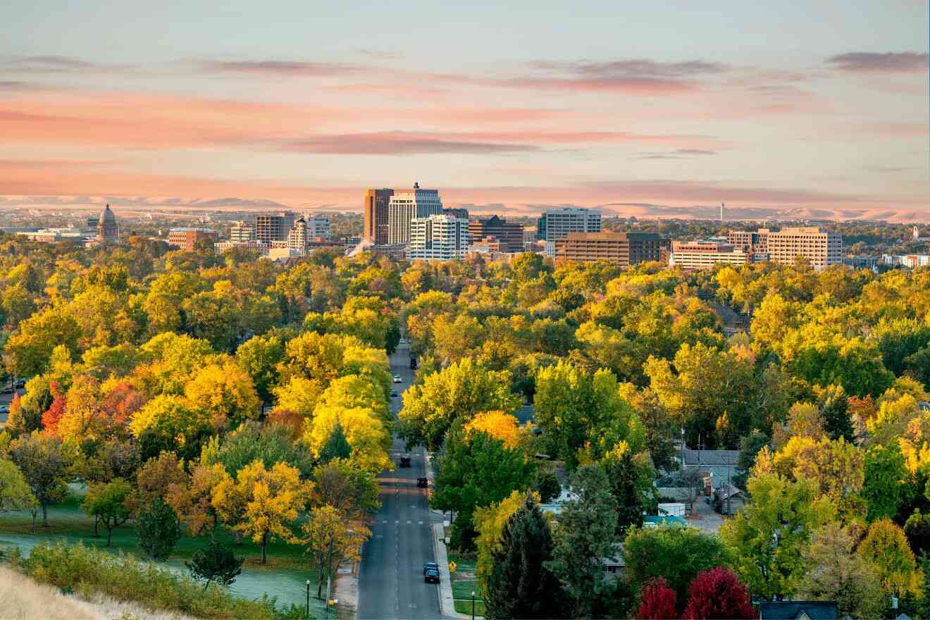 Vista aérea de un paisaje urbano con una mezcla de edificios y árboles frondosos con hojas de otoño bajo un cielo rosado durante la puesta de sol.