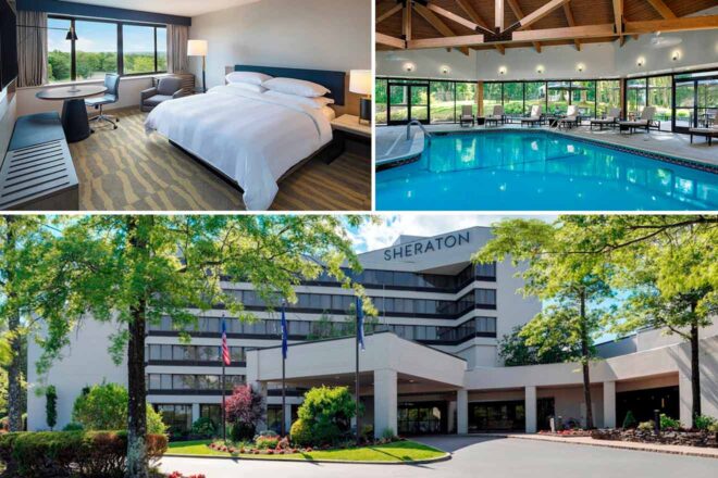 Collage of 3 pics of luxury hotel: a hotel room, an indoor pool, and the exterior of a Sheraton hotel with a landscaped entrance.