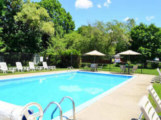 Outdoor swimming pool surrounded by lounge chairs and umbrellas, with trees and greenery in the background on a sunny day.