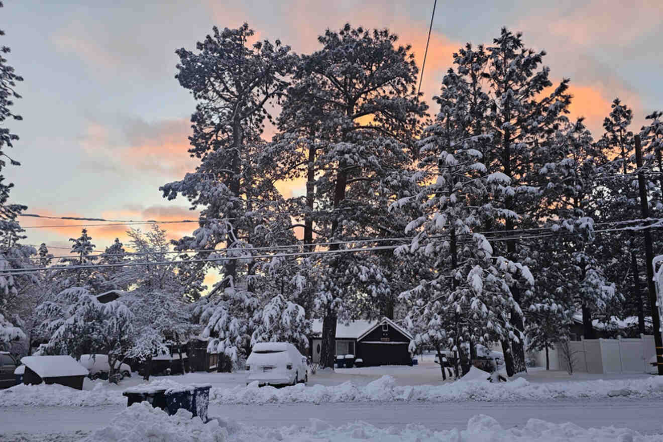 A neighborhood street is covered in snow at sunrise. Snow-laden trees and parked cars line the street, with houses partially visible amidst the winter scene.