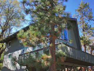 A two-story gray house with large windows and a wooden deck, partially obscured by a tall pine tree, surrounded by other trees under a clear blue sky.