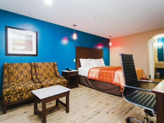 Hotel room with a bed, colorful bedspread, cushioned armchair, small table, office chair, desk, and blue accent wall. Wall art hangs above the armchair, and a sink area is visible in the background.