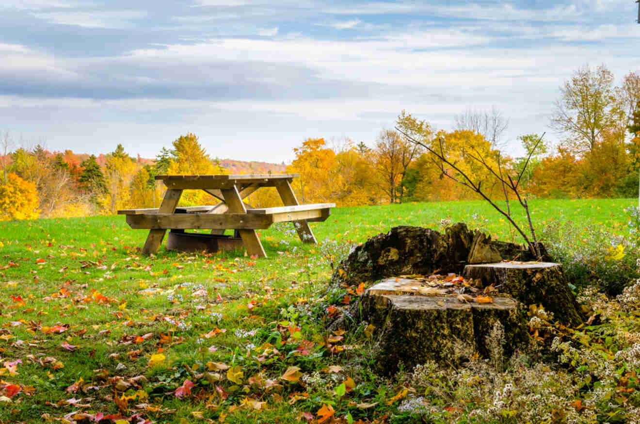 A wooden picnic table sits on a grassy field surrounded by colorful autumn trees and fallen leaves. A large tree stump is in the foreground.