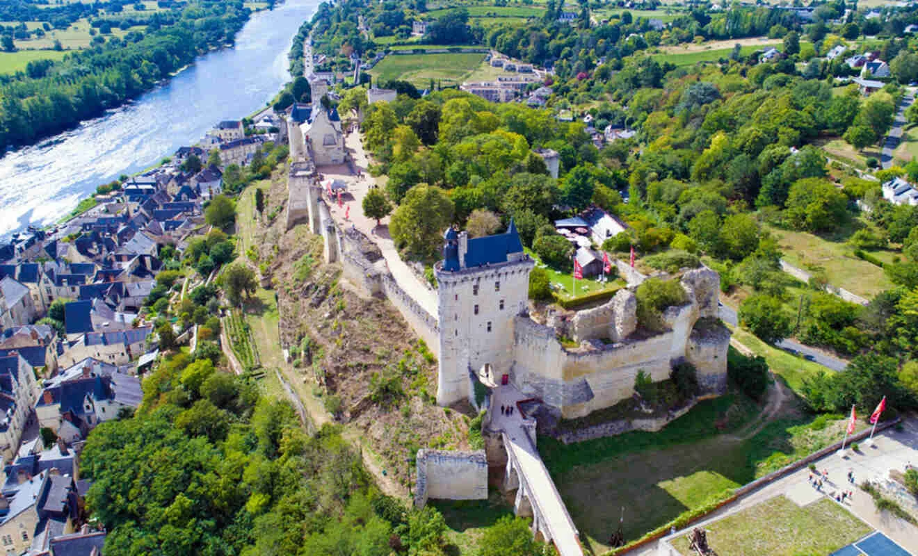 Aerial view of a historic fortress on a hilltop, surrounded by greenery and overlooking a river and a town.