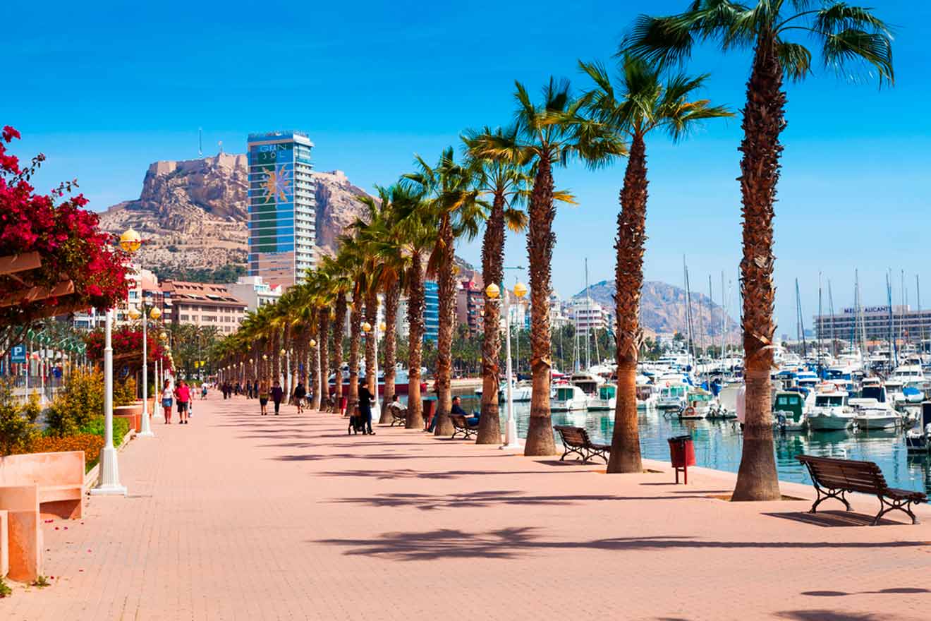 A waterfront promenade lined with palm trees, adjacent to a marina with numerous boats docked. Background features tall buildings and rocky hills under a clear blue sky.