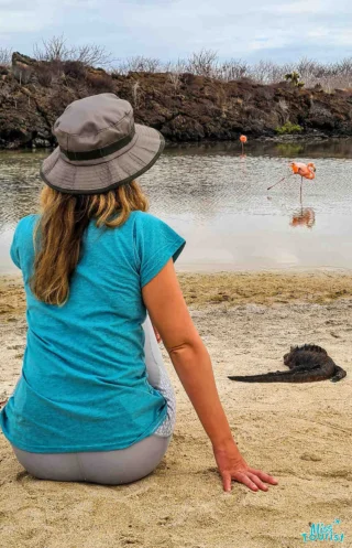 author of the post sitting on a sandy beach wearing a teal shirt and hat, facing a pond with flamingos. Rocks and sparse vegetation are in the background.