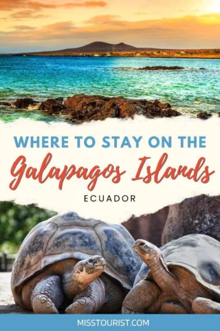 Advertisement for accommodations in the Galapagos Islands, Ecuador, featuring images of coastal scenery and two tortoises. Text reads: "Where to Stay on the Galapagos Islands, Ecuador" and "MISSTOURIST.COM".