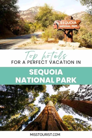 An entrance sign for Sequoia National Park with mountains in the background and tall trees viewed from below. Text reads: "Top hotels for a perfect vacation in Sequoia National Park.