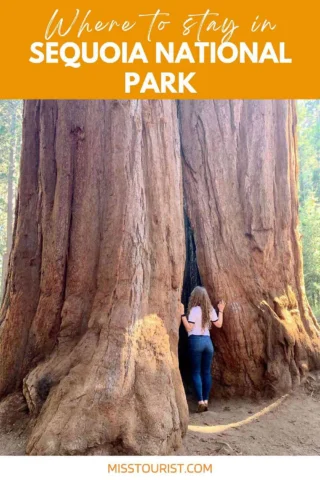 A person stands at the base of a massive tree trunk with their hands against it in Sequoia National Park. The text at the top reads "Where to stay in Sequoia National Park.