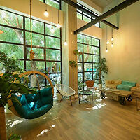 A modern lounge area with large windows, hanging chair, sofas, cushions, and various potted plants. Natural light fills the space, creating a cozy atmosphere.