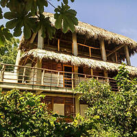 A three-story building with thatched roofs and wooden balconies, surrounded by lush greenery under a clear blue sky.