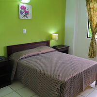 A small, tidy bedroom with a double bed covered in a brown blanket. The walls are green, and there's a framed floral picture above the bed. A lamp and nightstand are on either side of the bed.