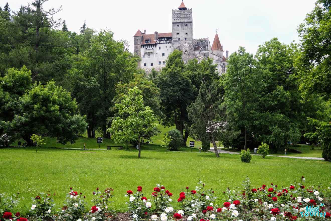 A historic castle towers above a lush, green park with manicured flower beds and dense trees.