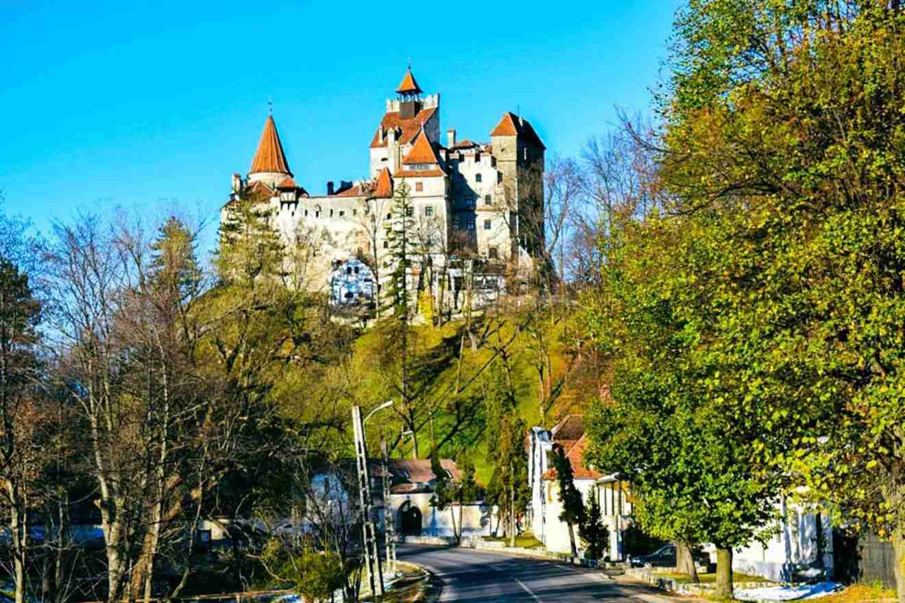 A large castle with red rooftops stands on a hilltop surrounded by trees and buildings, with a road leading toward it.