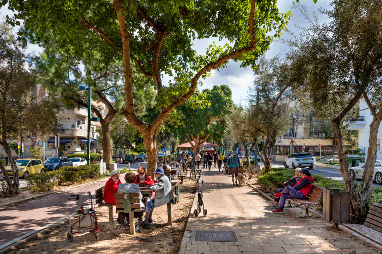 A vibrant city boulevard lined with large trees, benches, and people sitting and chatting, with pedestrians walking along the sidewalk and light traffic in the background.