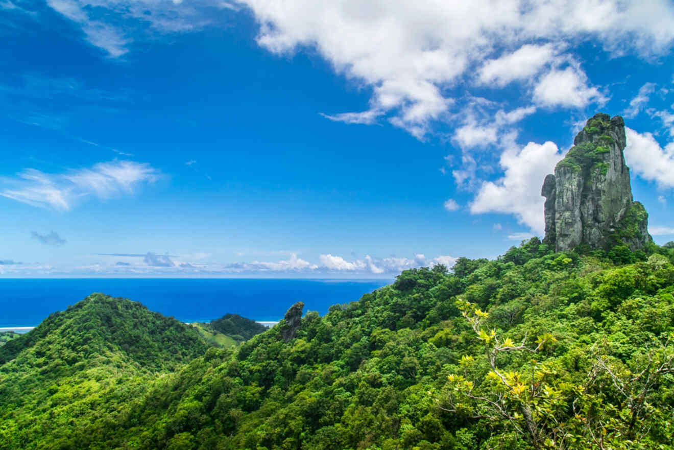 Scenic view of 'The Needle,' a tall rock formation surrounded by vibrant greenery in Rarotonga, Cook Islands